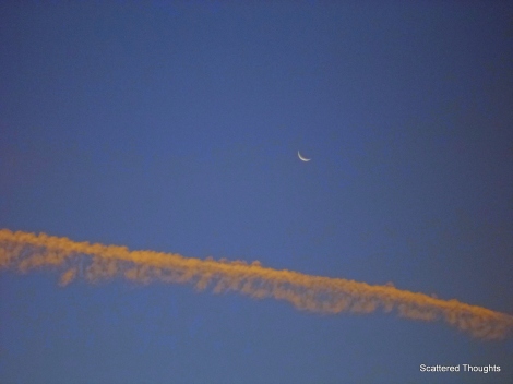 I clicked this on an early morning, an unique juxtaposition of morning cloud and the residual moon
